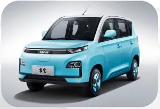 Bev Car High Speed EV BAW Brumby Luxury Electric Vehicle Wholesale Mini Electric Car for Adults