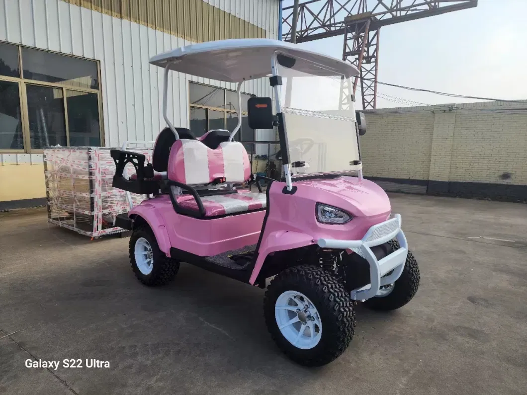 Custom Color Logo Battery Operated 4 Wheel Buggy 4 Seats Seater Hunting Buggy Small Golf Go Car Electric Mini Cart with AC Motor