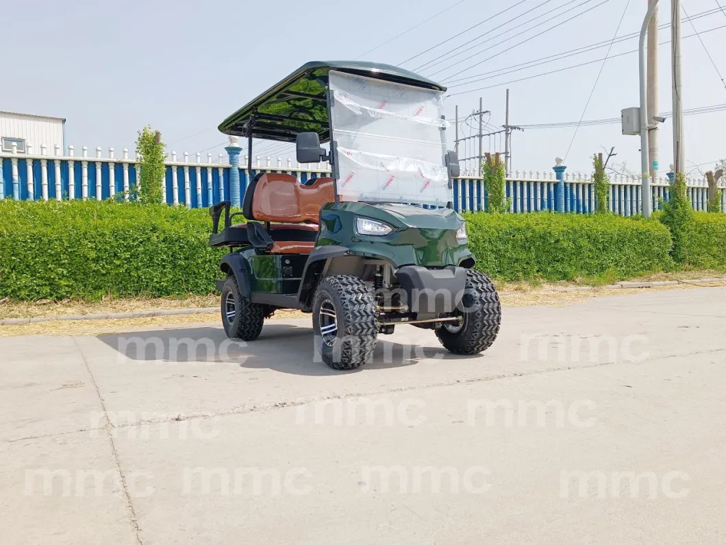 Rough Terrain Hunting Golf Wholesale 4 Seater Golf Cart with Folded Seat