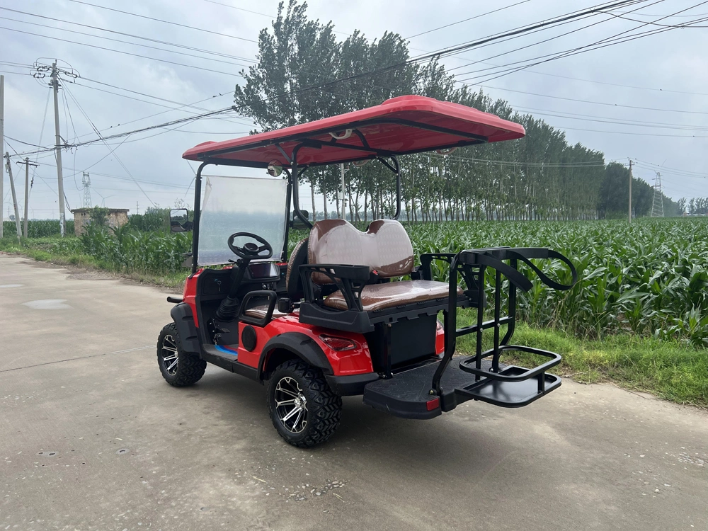 Best Utility 4 Soft Seater 2 Row Luxury Sightseeing Bus Classic Cool Buggy Price with Large Storage Space Golf Cart