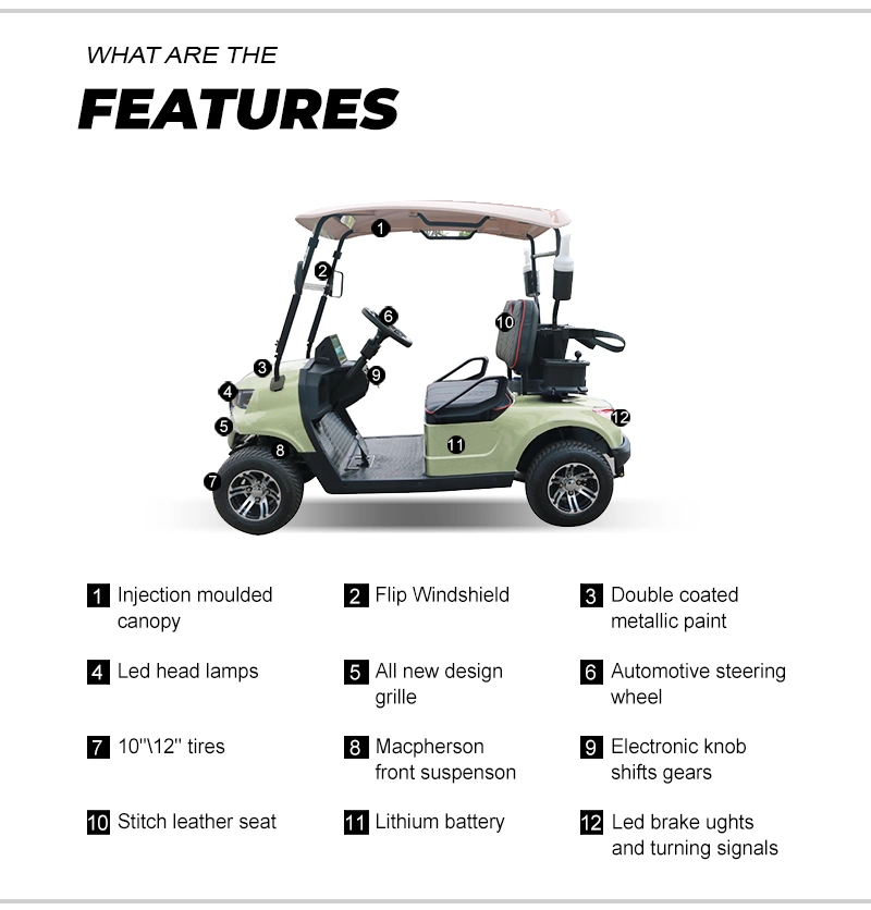 Dachi 2 Seater Electric Buggy Electric Golf Car