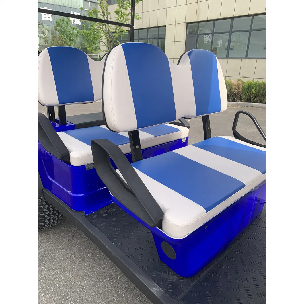 OEM/ODM High Quality Customized 6 Seater Lifted Electric Golf Buggy