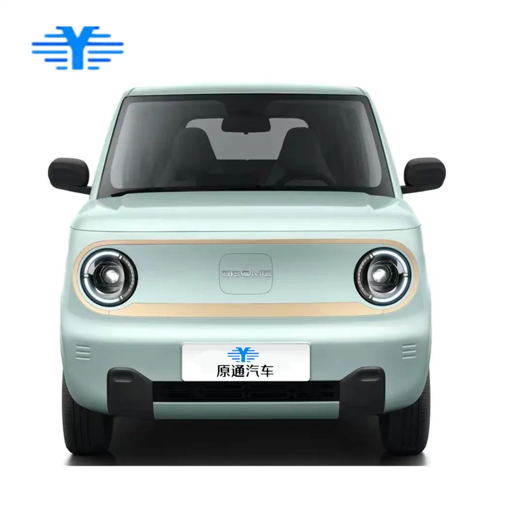 Chin 2023 Small Electric Car Cheap Cars Manufacturer Direct Sale New Energy Electric Vehicle for Geely Panda Mini