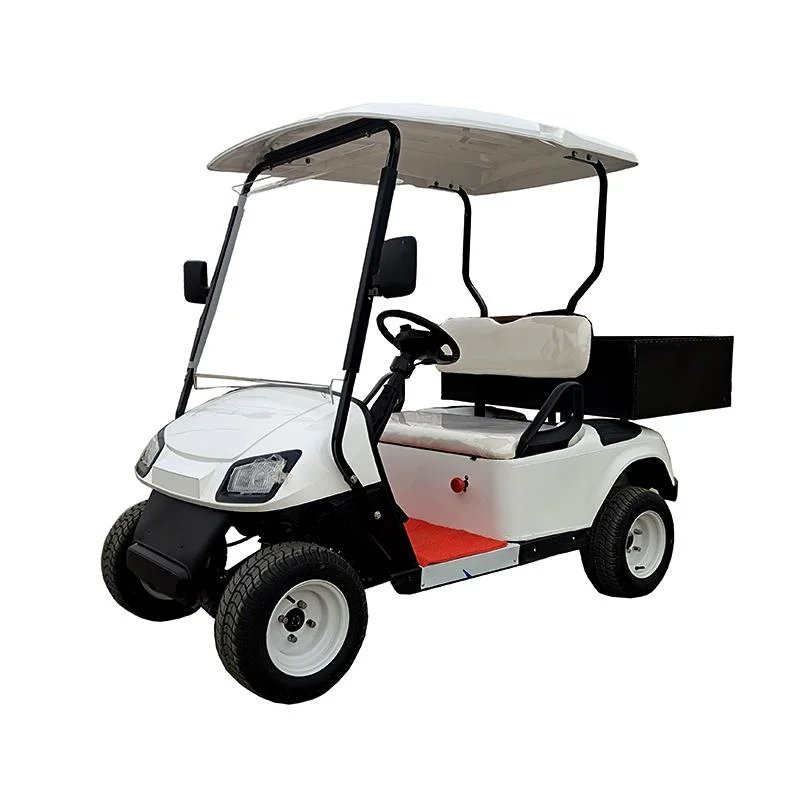 Wholesale 2 Seats Golf Carts with Rear Cargo Box for Club Car Sales