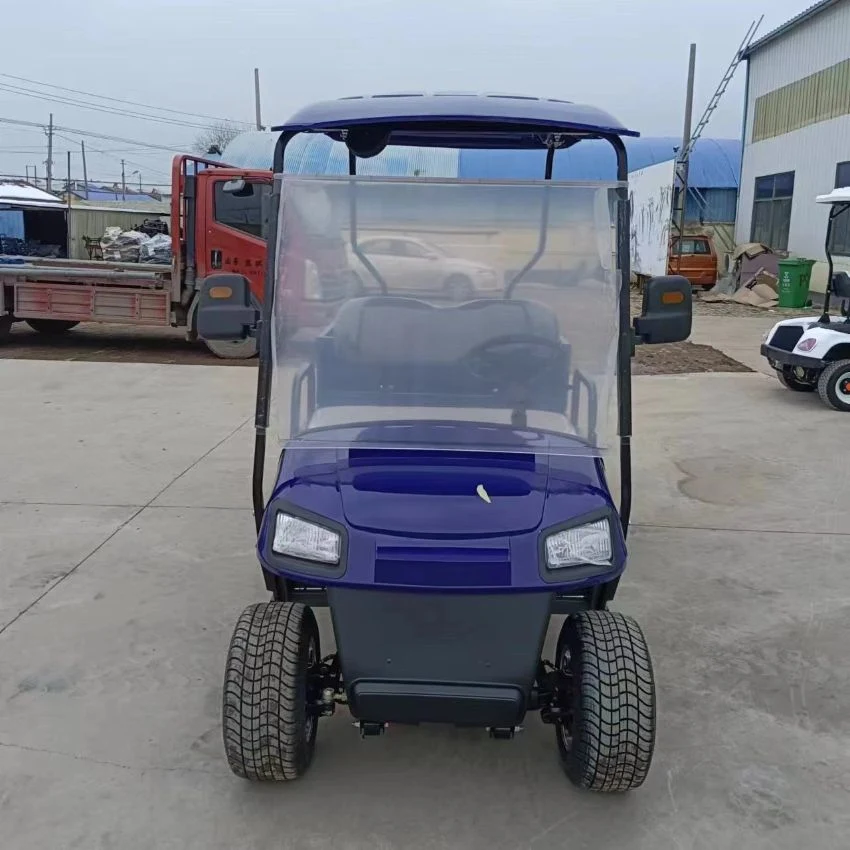 Chinese Wholesale Golf Cart Manufacturers 4 2 Seater Go Kart Vintage Golf Carts for Sale