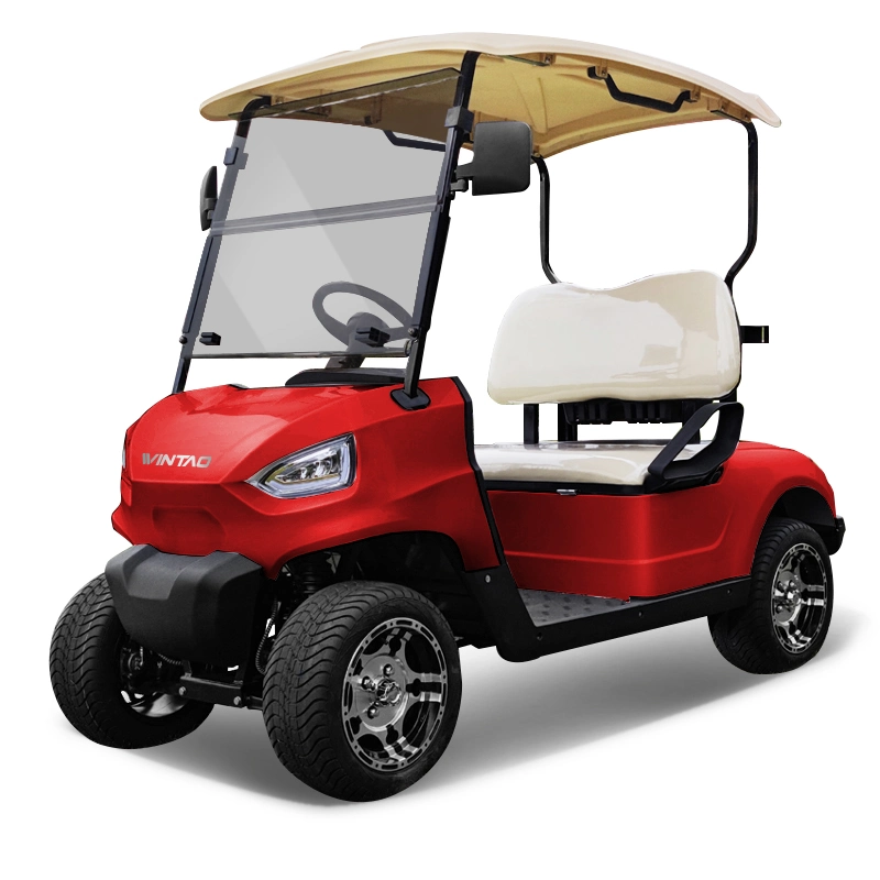 Stand up Street Legal Zone Electric Utility Cart Golf Cart Car Golfcart Electric From China
