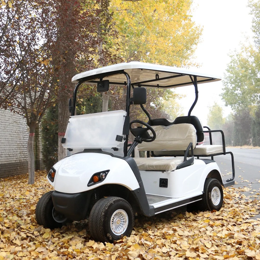 Hongchangda 48V/72V 2 Seater Electric Evolution Golf Cart with CE Certification