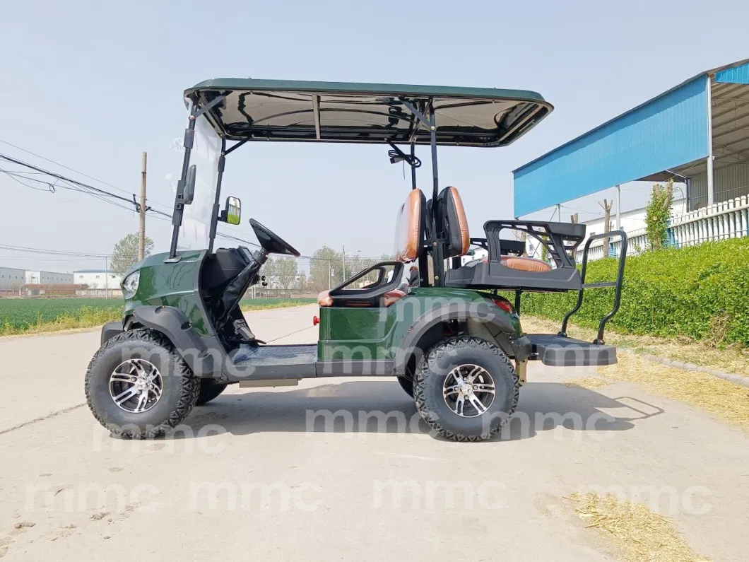 Rough Terrain Hunting Golf Wholesale 4 Seater Golf Cart with Folded Seat