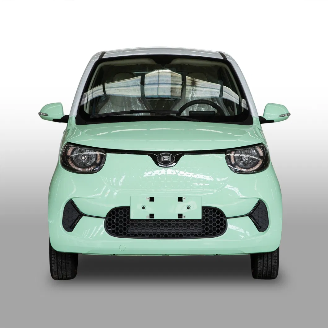 Popular Color Family EV Electric Car for Young People