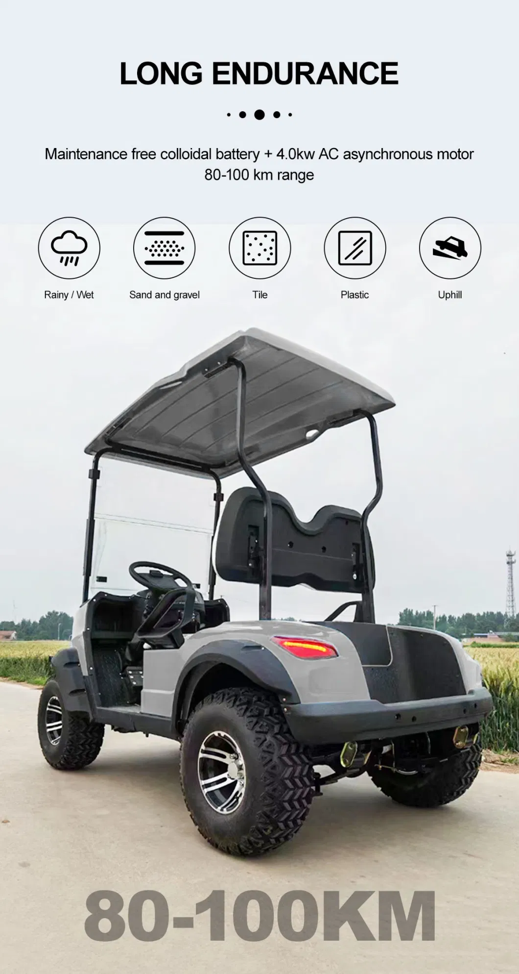Free Color Custom 2 Seat Advanced Motorized Utility Small Golf Buggy Price with Large Storage Space Can Put Golf Trolley Bag