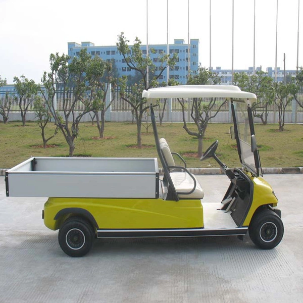 Electric Golf Cargo Truck Car 2 Seats Electric Mini Utility Vehicle