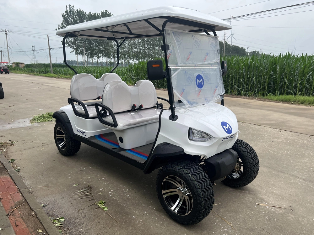 Custom Color Logo Battery Operated 4 Wheel Buggy 4 Seats Seater Hunting Buggy Small Golf Go Car Electric Mini Cart with AC Motor