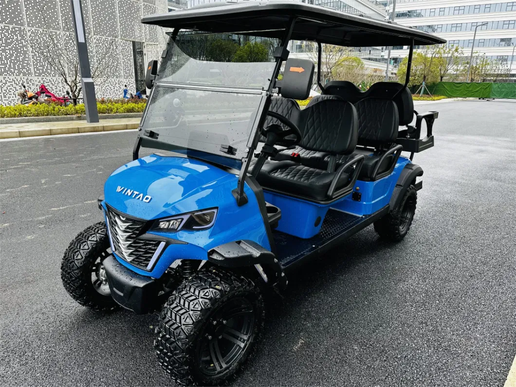 Wintao 4 Wheel 6 Seaters Golf off-Road Buggy Lifted Electric Golf Cart