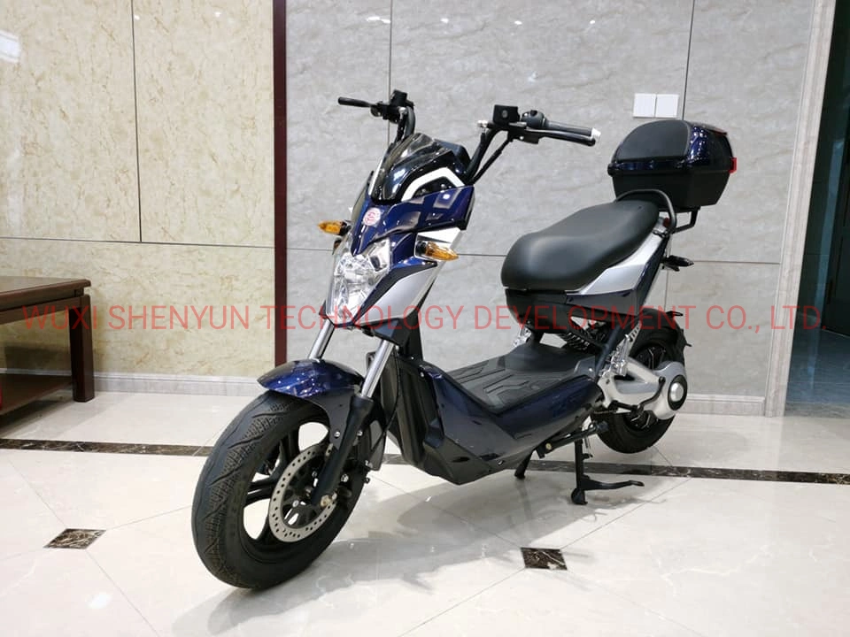 Top Sale Stylish 50km/H High Speed and High Performance Steel Electric Motorcycle for Youth