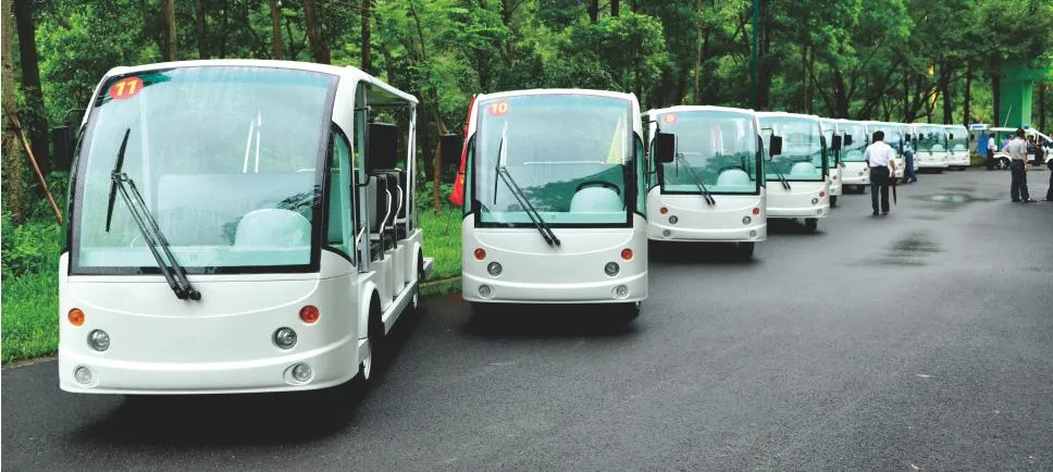 Street Legal Low Price Fashionable 14 Seats Electric Tourist Shuttle Car Sightseeing Car (DN-14F-9)