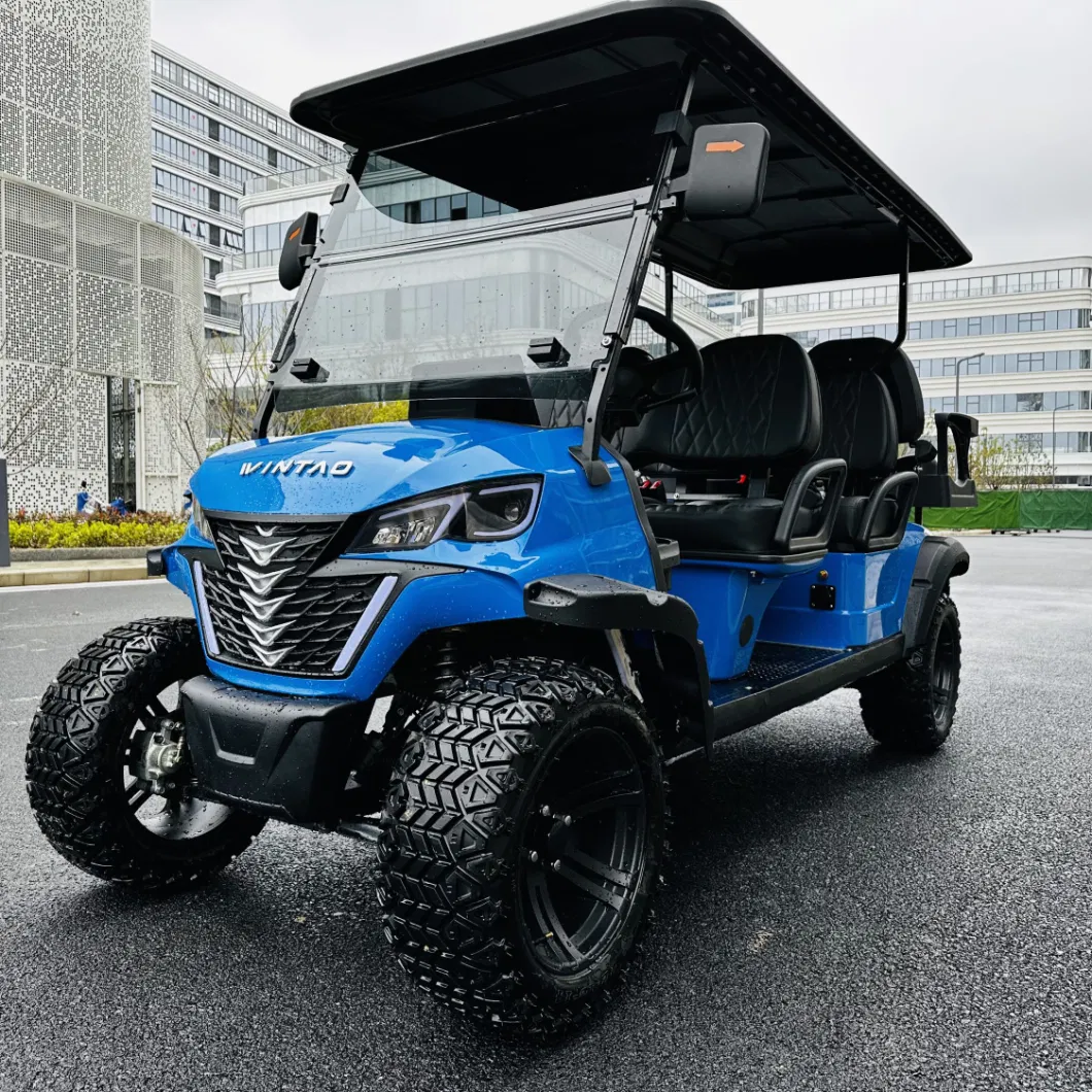 Wintao 4 Wheel 6 Seaters Golf off-Road Buggy Lifted Electric Golf Cart