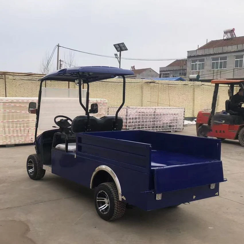 Chinese Wholesale Golf Cart Manufacturers 4 2 Seater Go Kart Vintage Golf Carts for Sale