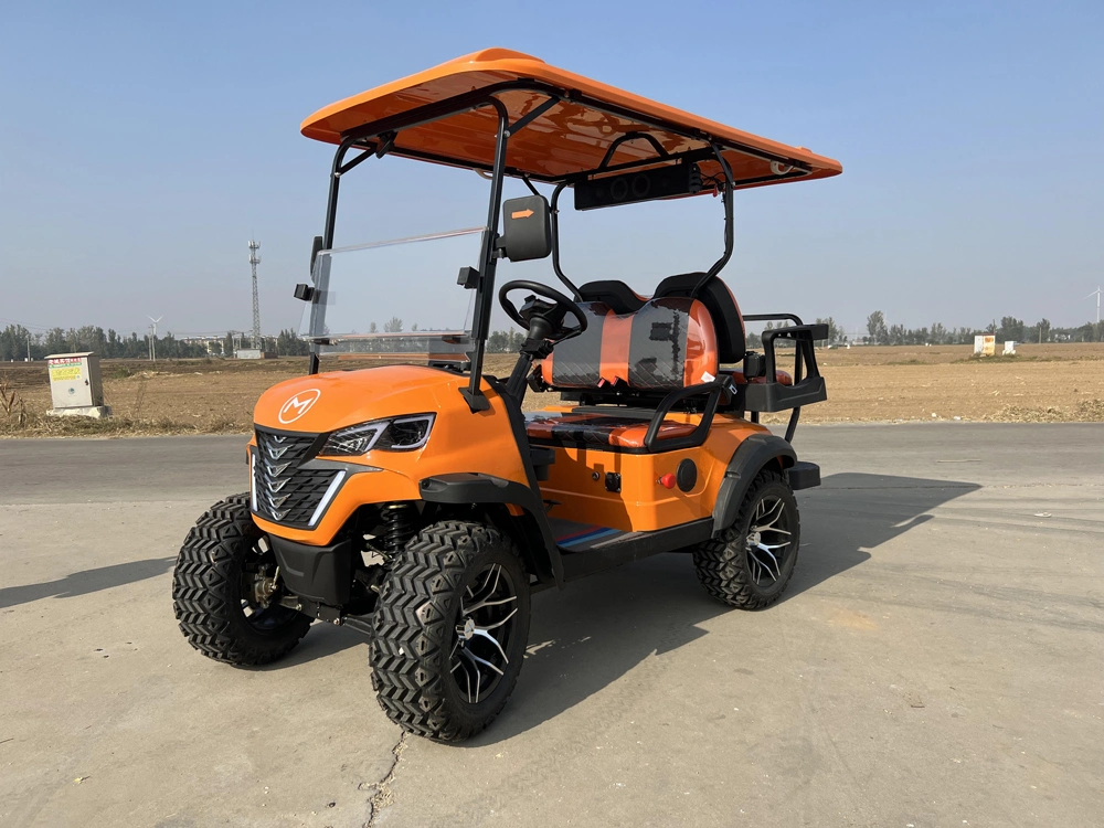 Custom 4 6 8 10 Seater Solar Power Lithium Batteries Folding Golf Carts Electric Golf Cart