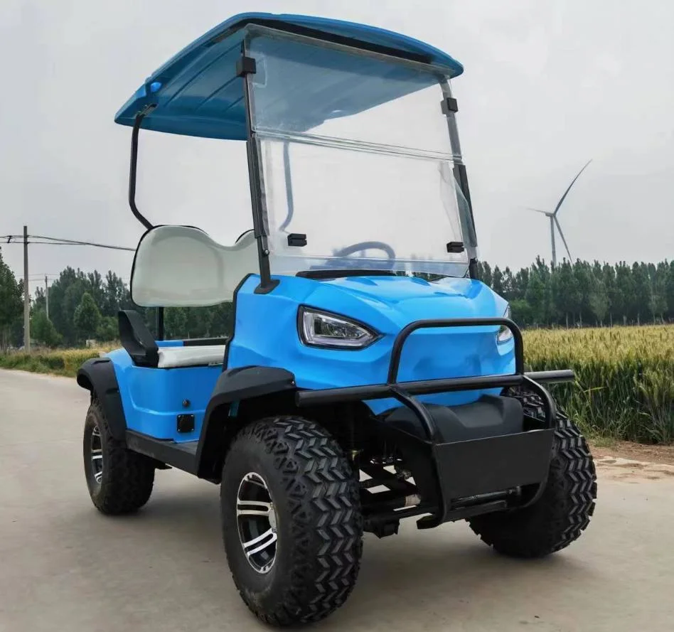 Coleman Electric Golf Cart 2 Seaters Legal Street Golf Cart Lithium Battery for Sale Services Motorized Golf Push Cart Personal Electric Golf Carts