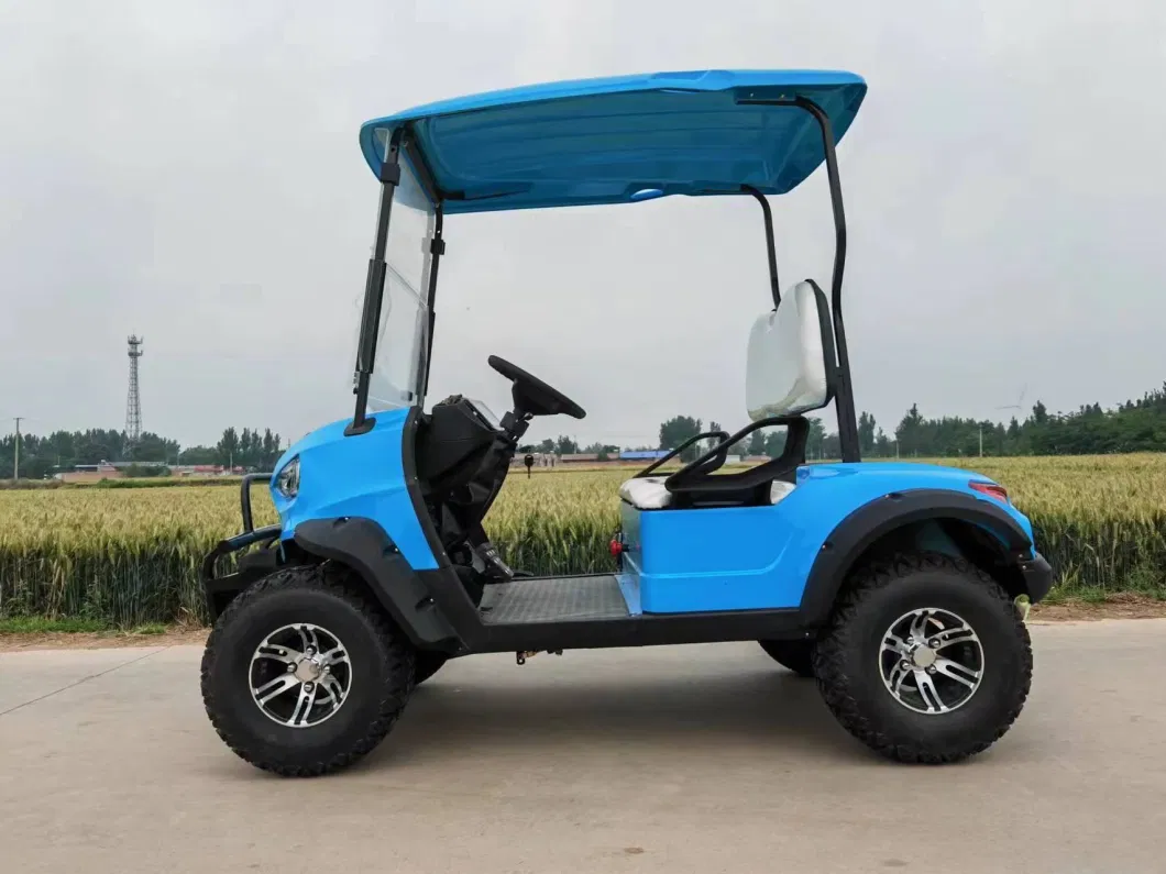 Coleman Electric Golf Cart 2 Seaters Legal Street Golf Cart Lithium Battery for Sale Services Motorized Golf Push Cart Personal Electric Golf Carts