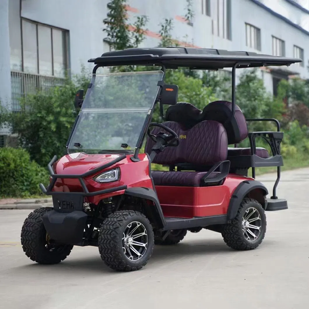 Cheapest Evolution Chinese Electric Hunting Club Car Golf Cart with a Fixed Seat Facing Backwards