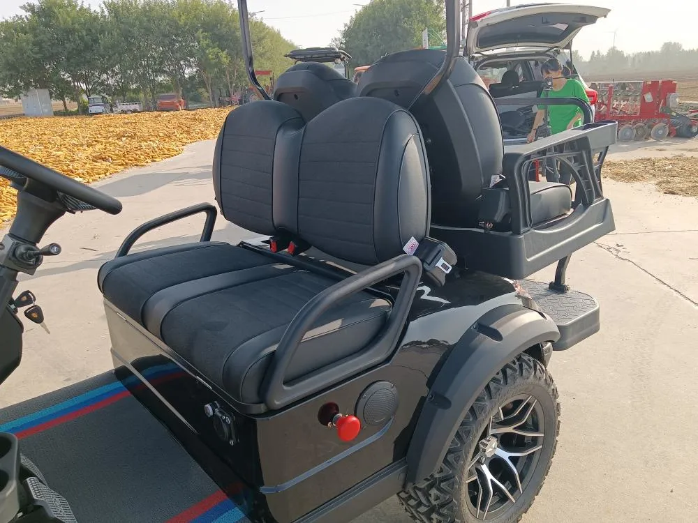 New MD2+2 4 Seater 60V 72V Electric Deluxe Edition Lifted Golf Cart Evolution Hunting Buggy Golf Carts