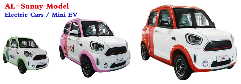 Chinese Small Electric Car for Elderly People