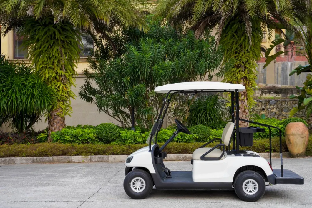 Electric 4X4 2 Seater Hunting Golf Car 48V 5000W with CE Certificate Electric+Car+Golf