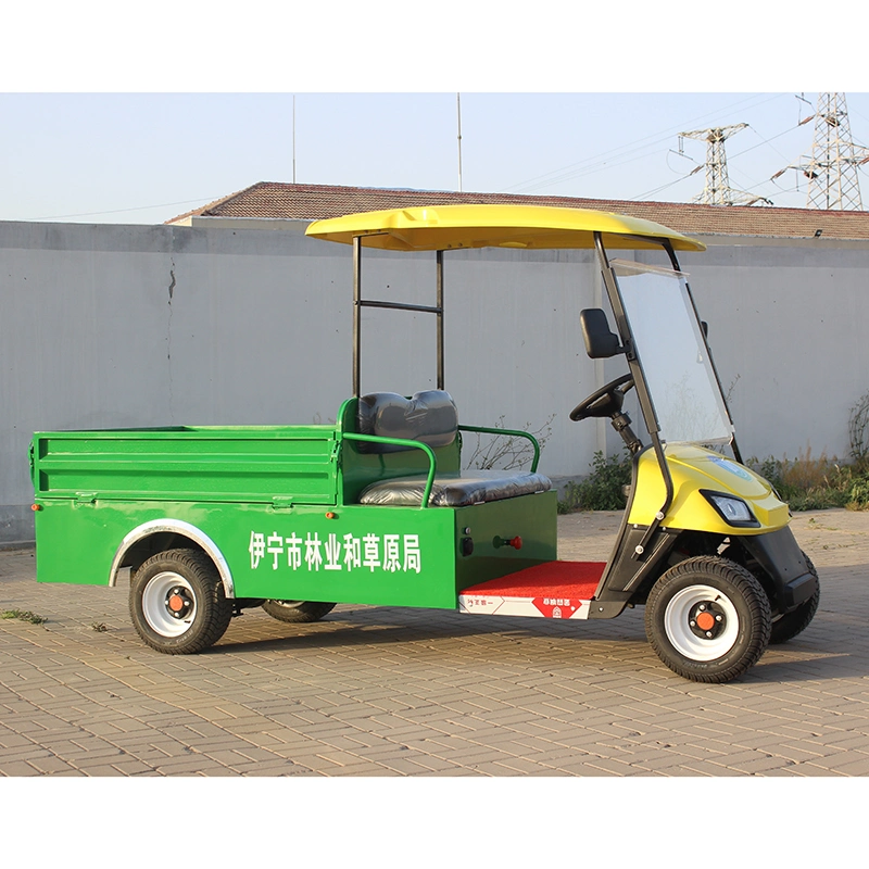 Ready to Ship China Customized 2 Passenger Mini Electric Golf Car, Golf Shuttle, Golf Buggy, Golf Trolley, Golf Utility, Golf Cart with Cargo Bucket CE Approved