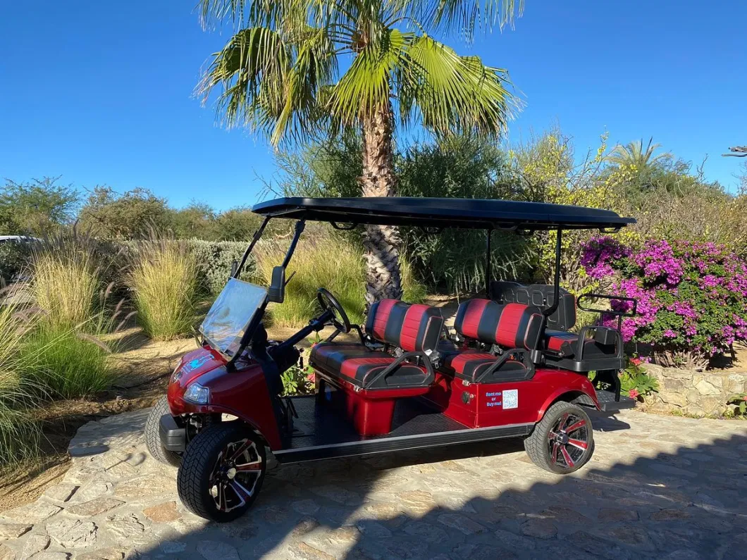 Lifted Golf Cart 6 Seater Go Kart 48V Motor with 48V Lithium Battery