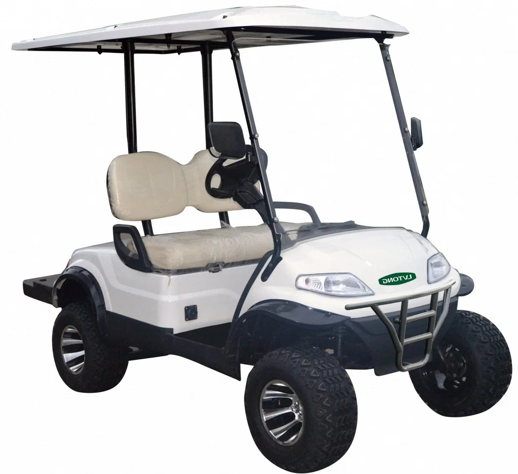 2 Seaters Electric Motorized off Road Hunting Golf Buggy Cart
