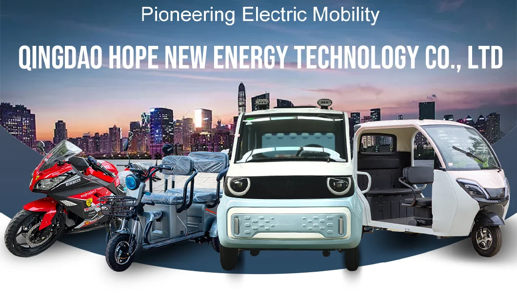 Budget-Friendly Electric Tricycle: China&prime;s Affordable Custom New Energy Vehicle