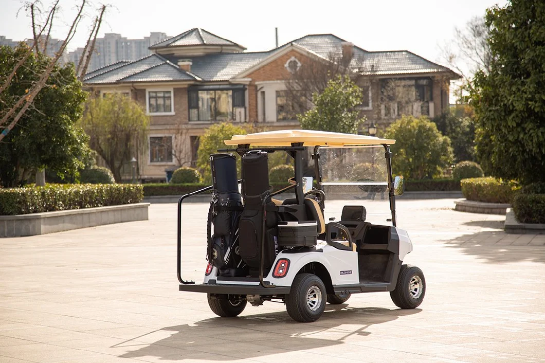 2 Passenger Electric Golf Cart