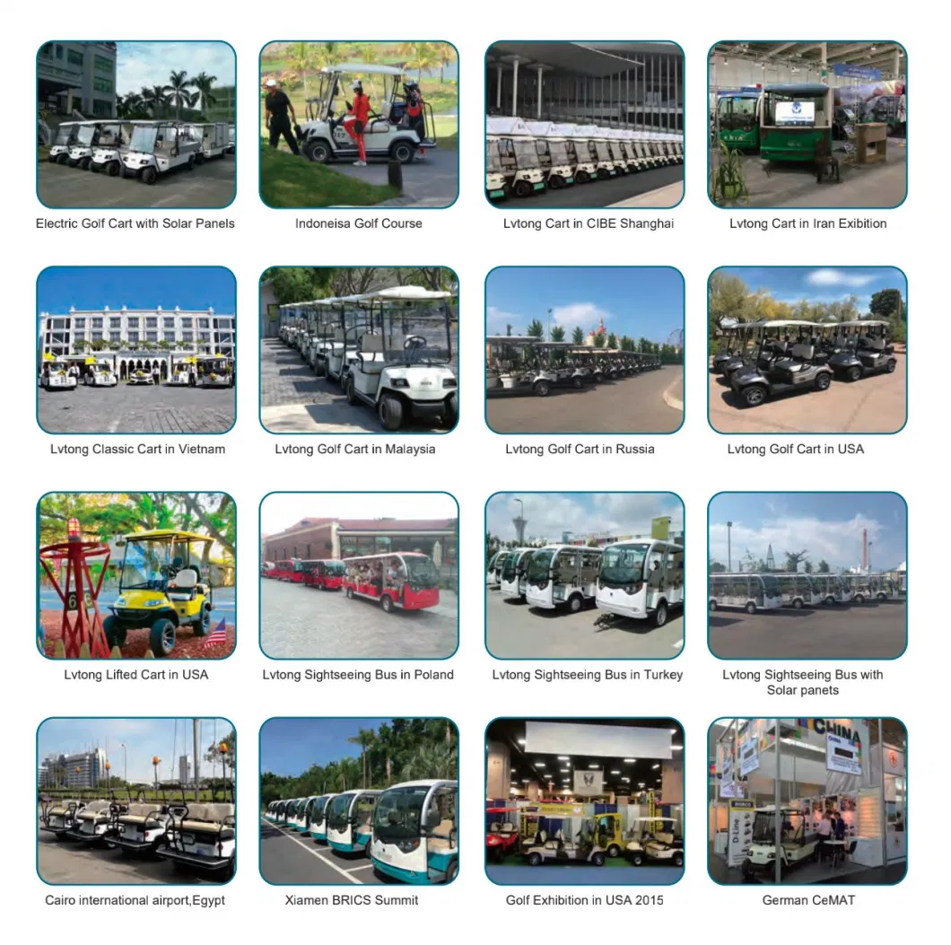 8 Passenger Electric Vintage Electric Sightseeing Bus Golf Cart (Lt-S8. FB)