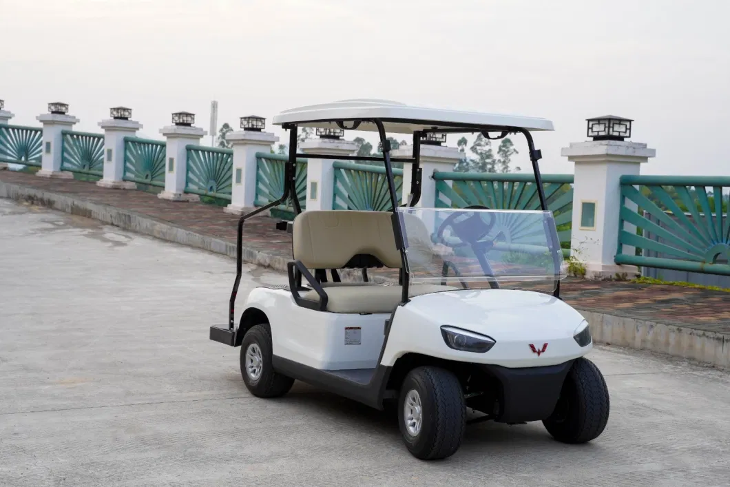 Electric 4X4 2 Seater Hunting Golf Car 48V 5000W with CE Certificate Electric+Car+Golf