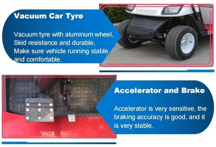 Superior Quality Classic Electric Vehicle Golf Cart with 2 Seats