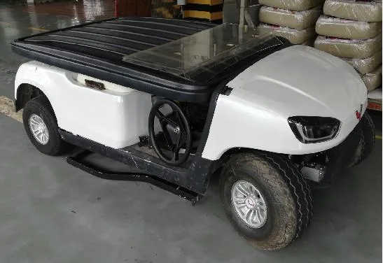 CE Approved Battery Powered Golf Car/Cart for Sale