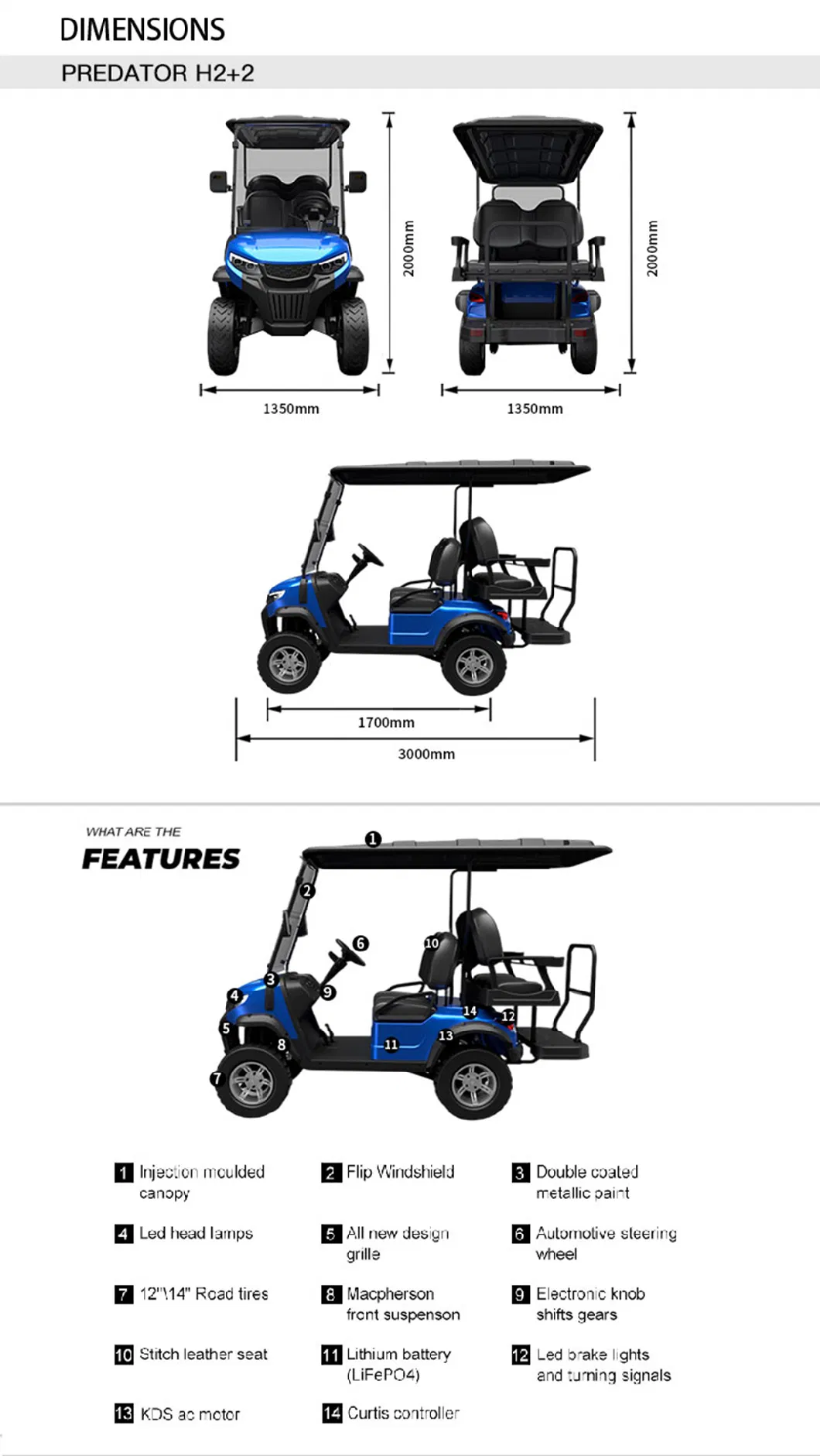 Super Quality Golf Buggy Hunting 2+2 Seats Predator H2+2 Electric Golf Cart
