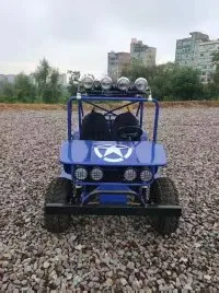 Suyang 150cc Mini Buggy Willys/Rover UTV New Design ATV Hot Sell