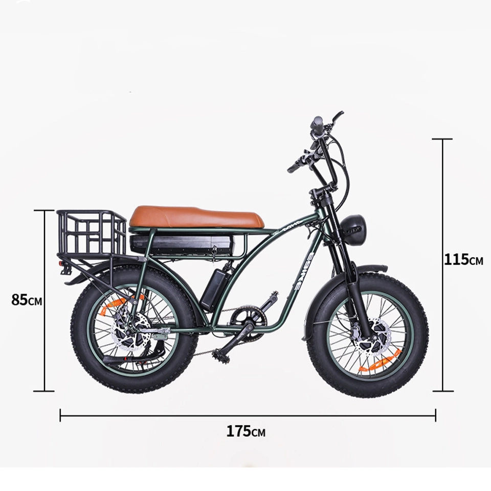 48V 2000W Front and Rear Motor Dual Drive Electric Vehicle with Basket Retro off-Road Fat Tire Electric Assist Bicycle with 18.2ah Battery