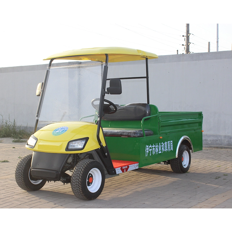 Ready to Ship China Customized 2 Passenger Mini Electric Golf Car, Golf Shuttle, Golf Buggy, Golf Trolley, Golf Utility, Golf Cart with Cargo Bucket CE Approved