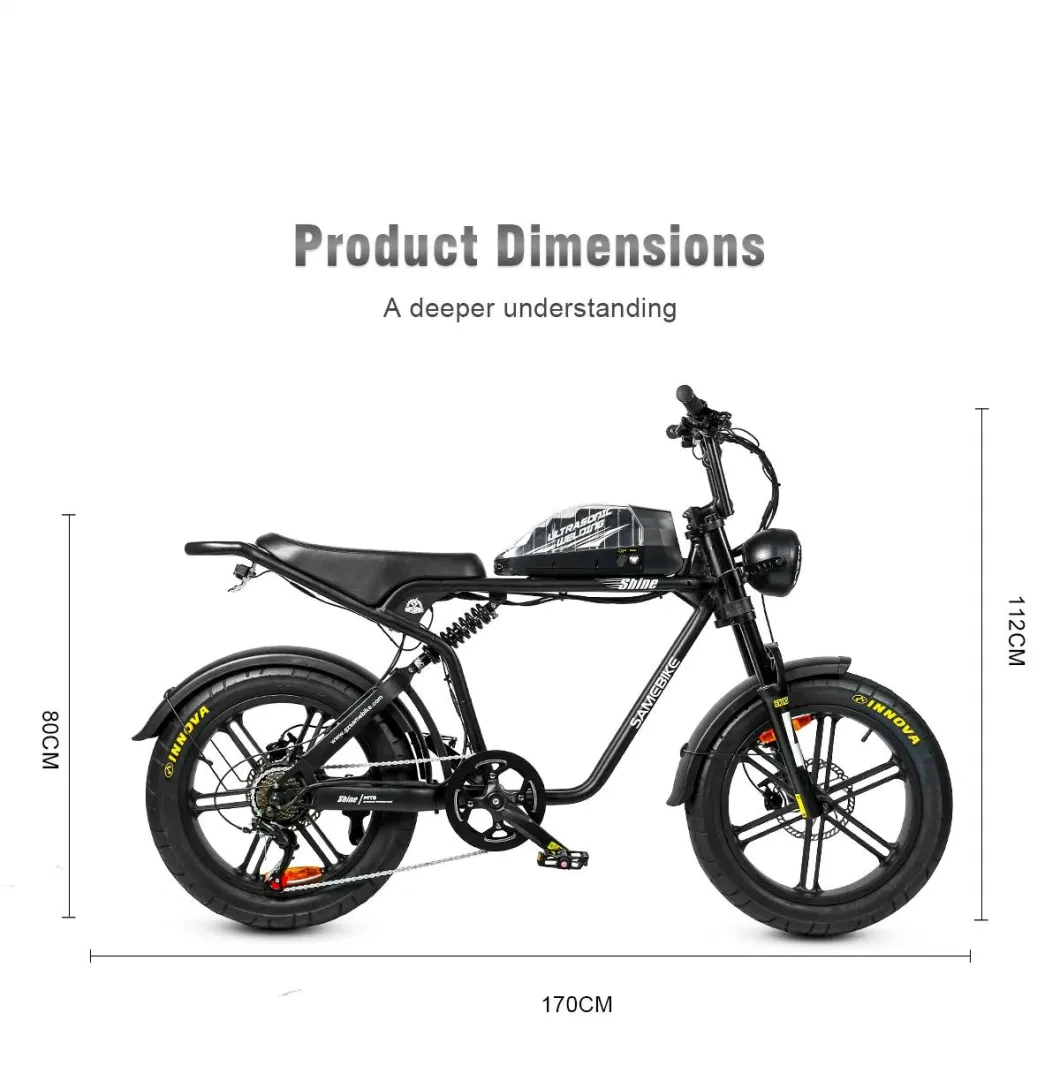 2023 New Wholesale 1000W 48V 16ah Full Suspension Fat Tire off Road Electric Bike Adult Electric Dirtbike