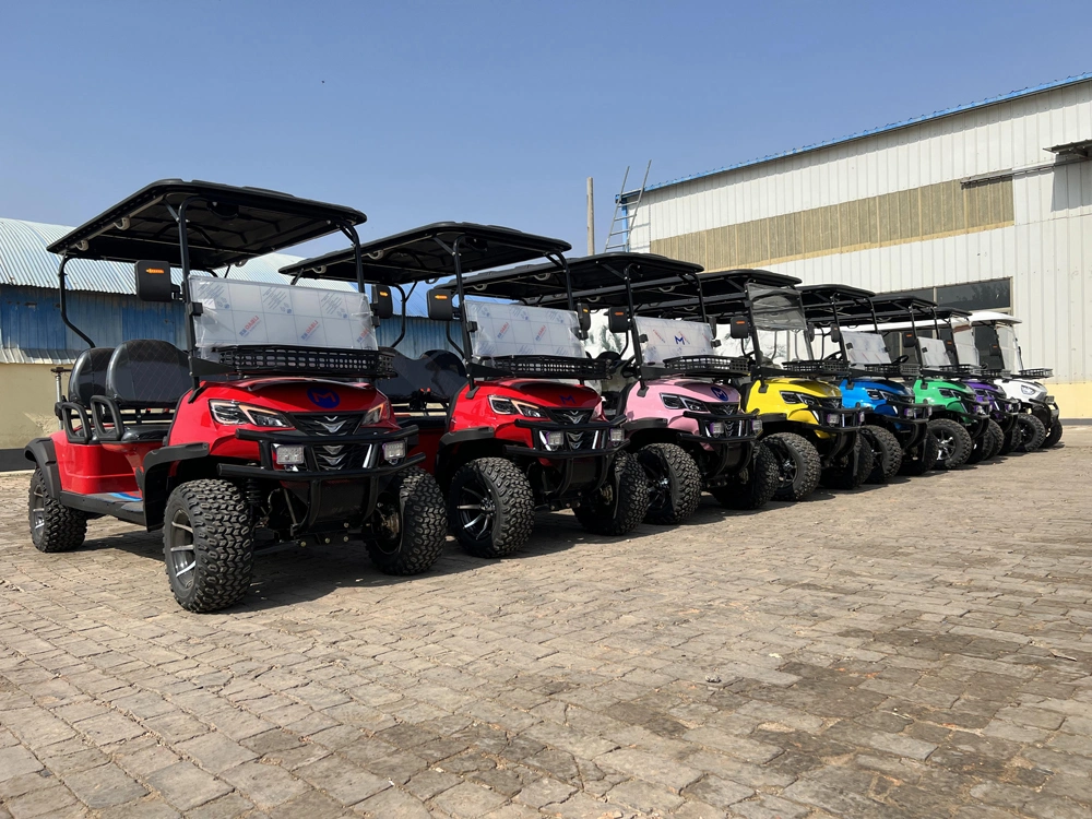 6 Seaters Small Cart Agriculture Factory Airport Transport Hunting All Terrain Battery Power Sport Club Car Modified Custom Cool Electric Golf Cart Mini Car