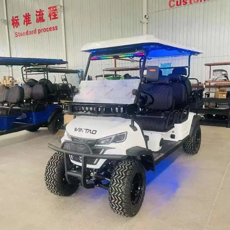 6 Passenger Electric Sightseeing Golf Cart Utility Vehicle Road Legal Buggy