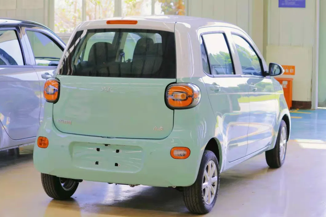 Popular Color Family EV Electric Car for Young People