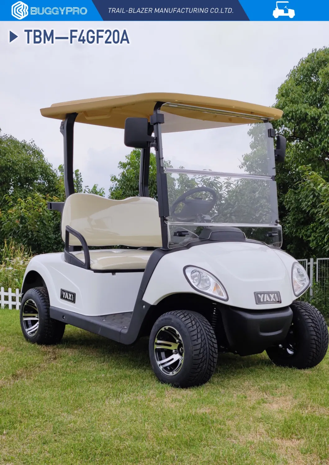 Cheap New Model 2 Seater Golf Cart Lsv Ptv