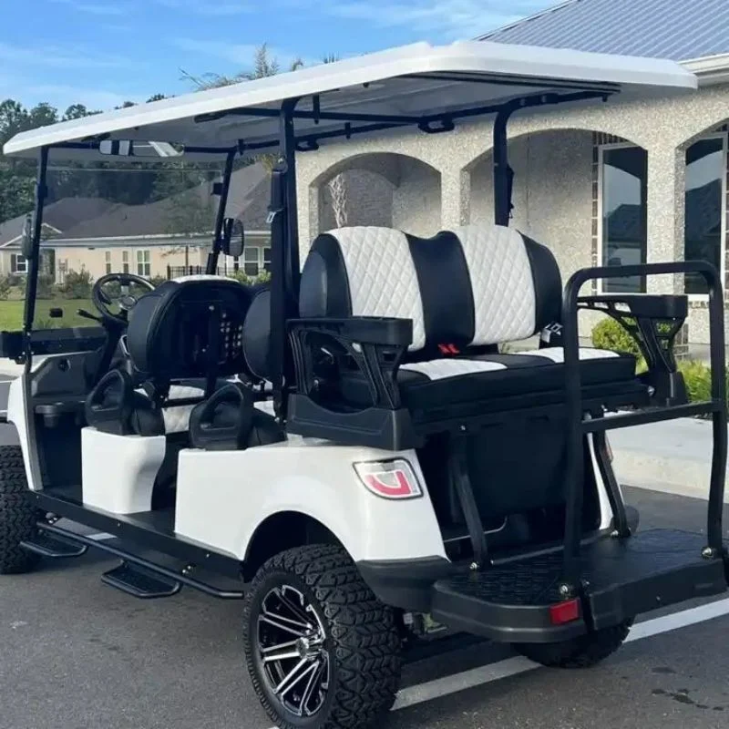 Super Luxury 48V 5kw Kds AC Motor and Aluminum Alloy Chassis Golf Cart