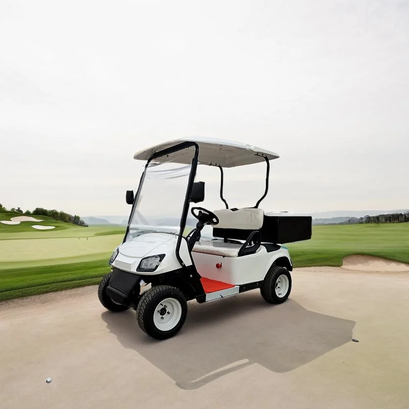 Mini Trolley Golf Cart with CE Certification for Hunting and Recreation
