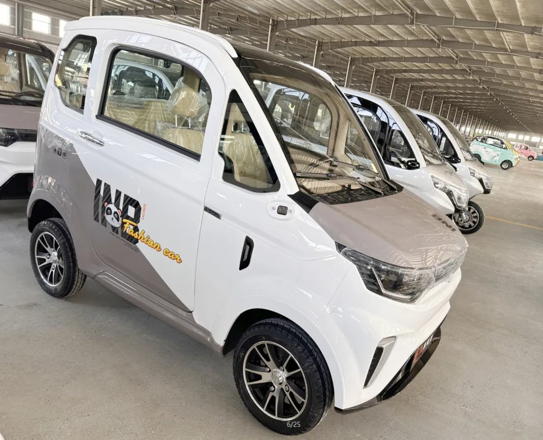 3000W Long Range Electric Utility Vehicles with Lithium Battery for Sale