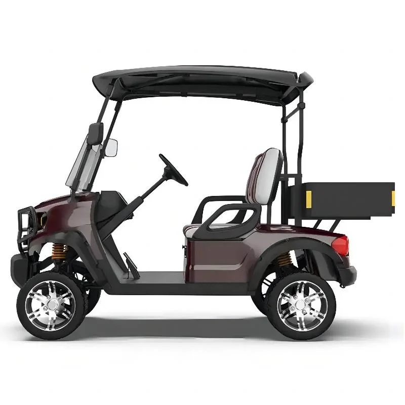 High Power off-Road Golf Cart Street Legal 2 Passenger Electric Golf Cart